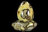 Polished Septarian Egg with Stand - Madagascar #120256-1